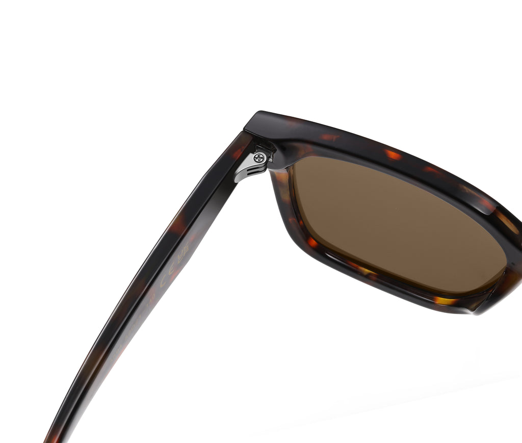 Rounded Square Sunglasses