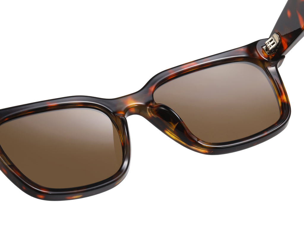 Rounded Square Sunglasses