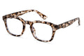 Rounded Square Glasses